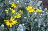 Jessica Tett Counselling