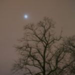 a wintery night sky including a pale moon and a tree