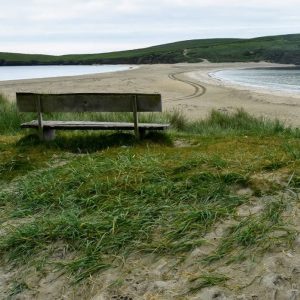 an empty wooden bench looking out across sea and sand